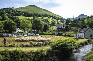 La transhumance, patrimoine culturel immatériel de l'humanité