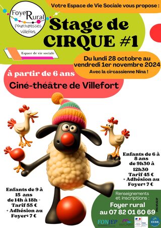 STAGE DE CIRQUE #1