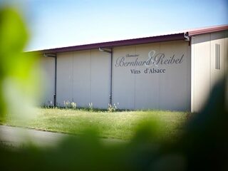 Domaine Bernhard-Reibel : vin nouveau chez le vigneron indépendant