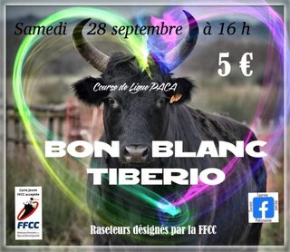 Course camarguaise - Course de Ligue