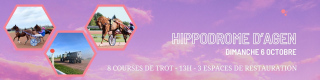 Courses hippiques