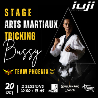 Stage d'arts martiaux tricking Bussy-Saint-Georges