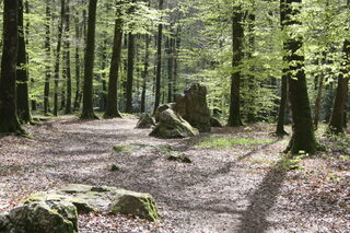 Randonnée guidée - Le circuit des vieux châteaux