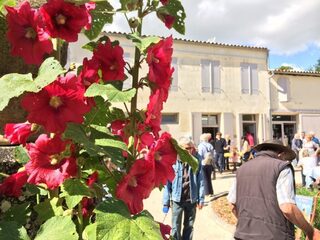 Découvrez des ateliers d'artisans saintongeais