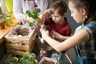 Atelier création d'un terrarium