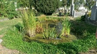 Découverte du patrimoine naturel du cimetière de Loyasse Refuges LPO