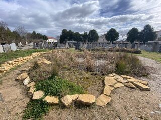 Découverte du patrimoine naturel du cimetière de la Guillotière Refuges LPO