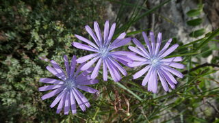 Conférence 'Sur la Terre comme au Ciel'