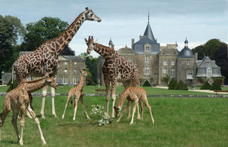 Château, jardins et Parc zoologique de La Bourbansais