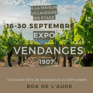 EXPO DES VENDANGES