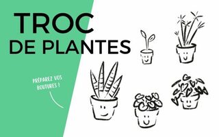 Troc de plantes