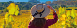 Le Fascinant Week-end au Domaine de Métifiot