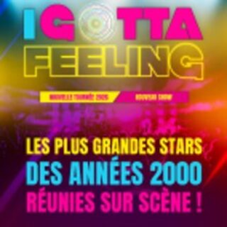 I Gotta Feeling - La Tournée des Années 2000