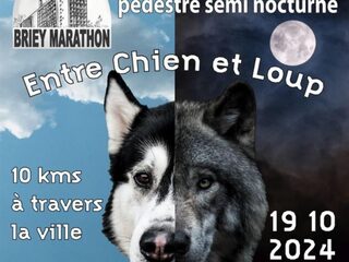 COURSE PEDESTRE ENTRE CHIEN ET LOUP