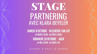 Stage mouvement Partnering