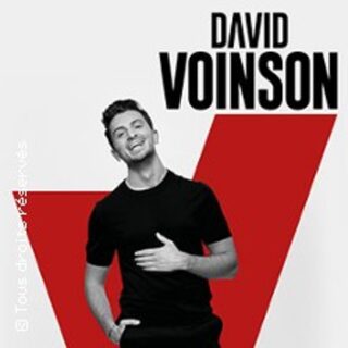 David Voinson - Tournée