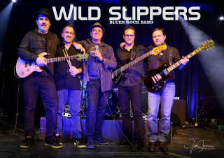 Concert Wild Slippers - Showroom Gallery CEMA