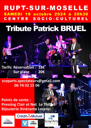 Tribute patrick bruel