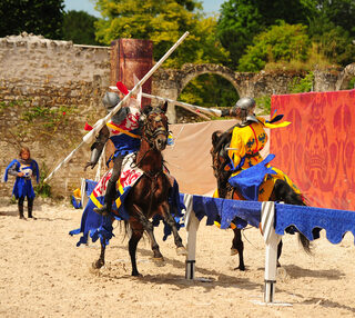 Spectacle chevaux et rapaces au château de Chambord - François 1er, le Roi-Cheva