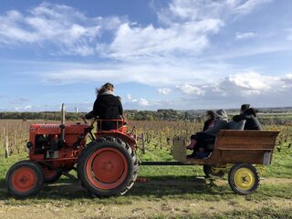 Fascinant week-end - Balade vigneronne en tracteur à Villiers-sur-Loir