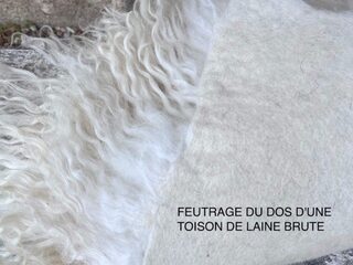 Atelier feutrage de toison de laine brute