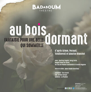 Au bois dormant, fantaisie pour une belle qui sommeille