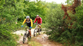 Les Chemins Creux Cerizéens