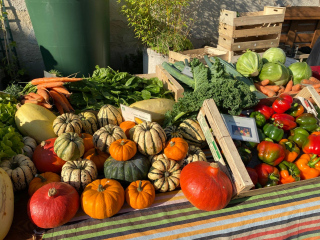 12ème Fête des légumes Anciens de Rocourt-Saint-Martin