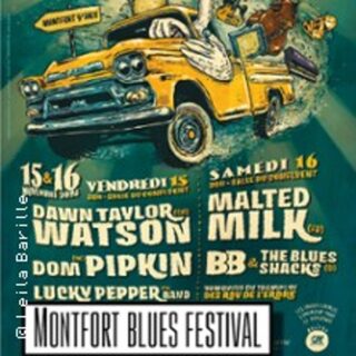 Festival de Blues