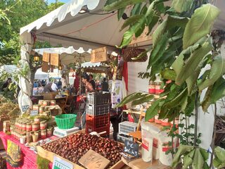 La fête de la Châtaigne à Martigues