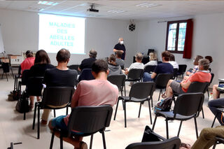 Conférences à l'occasion de la Fête du Miel et des Abeilles le dimanche 6 octobr