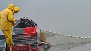 Découverte commentée d'une pêche d'étang