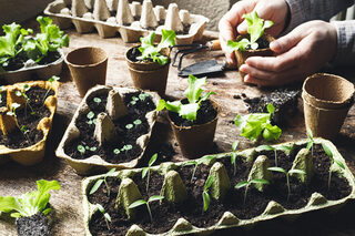 Atelier jardinage