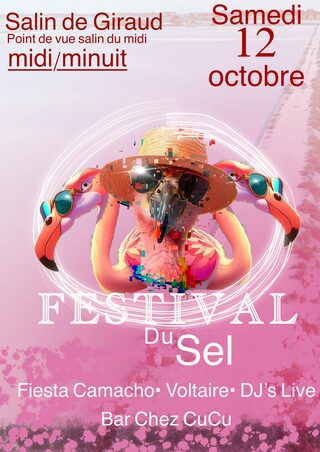 Festival du Sel