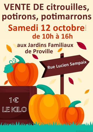 Vente de citrouilles, potirons et potimarrons - Proville 🎃