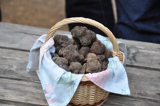 Marché aux truffes de Capdenac