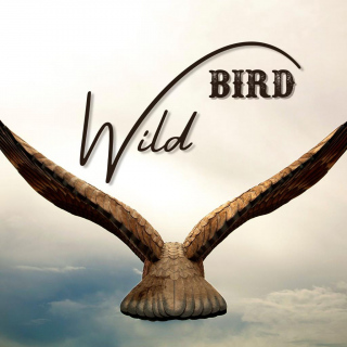 Wild Bird : chanson anglophone